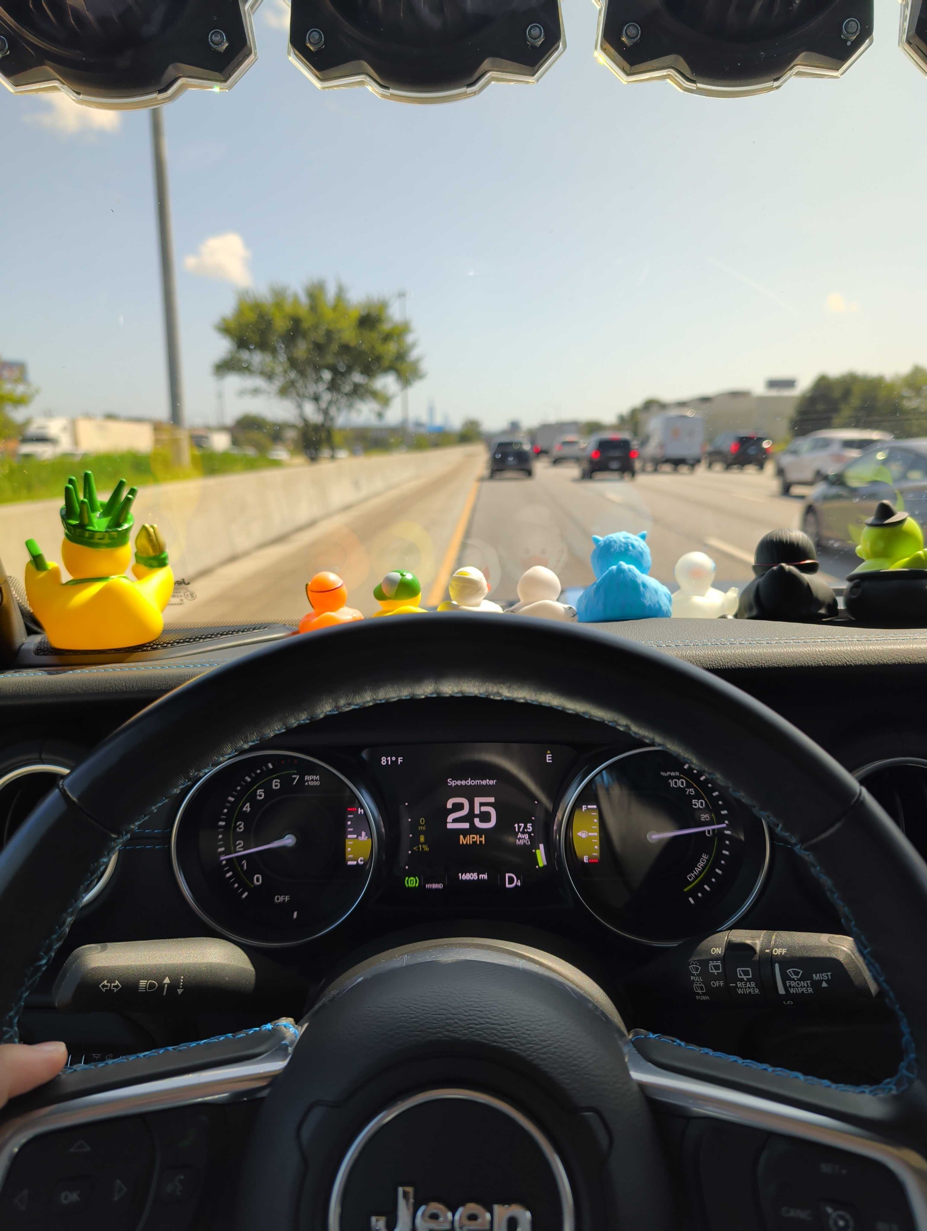 A Jeep dashboard covered in rubber ducks